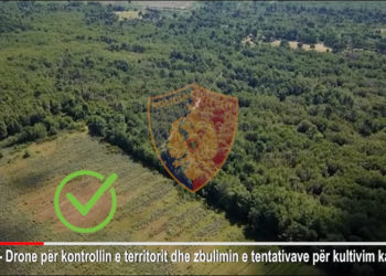 Policia lëshon dronet, 56-vjeçari kapet duke kultivuar kanabis në tokën e tij