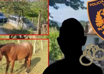 ‘U zumë për një pelë, s’doja ta vrisja’, zbardhet dëshmia e Jano Koletës në policinë e Gjirokastrës