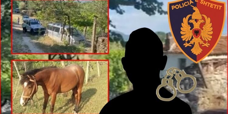 ‘U zumë për një pelë, s’doja ta vrisja’, zbardhet dëshmia e Jano Koletës në policinë e Gjirokastrës