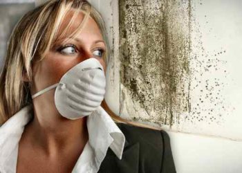 Zhdukeni nga shtëpia një herë e mirë mykun, ja sëmundjet që shkakton