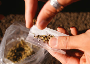 Sekuestrohen 865 gramë kanabis, arrestohen shitësi dhe procedohet penalisht blerësi