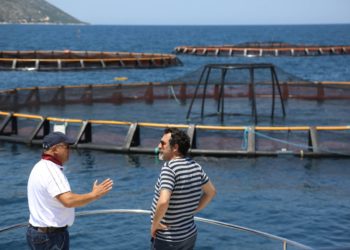 Vlora dhe Saranda dy zonat prioritare për zhvillimin e akuakulturës, Çuçi: Kapaciteti i Shqipërisë për rreth 10 mijë ton peshk në vit