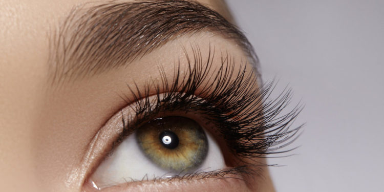 6 ushqime që ndihmojnë në rritjen e qerpikëve