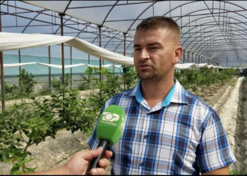 Historia e rallë në Patos, ekonomisti që u bë fermer (VIDEO)
