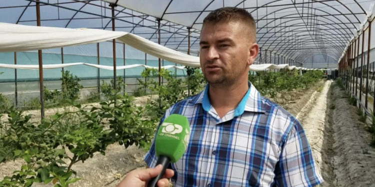 Historia e rallë në Patos, ekonomisti që u bë fermer (VIDEO)