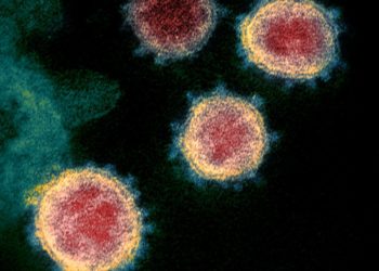 Nisin në SHBA provat përfundimtare për vaksinën kundër COVID-19