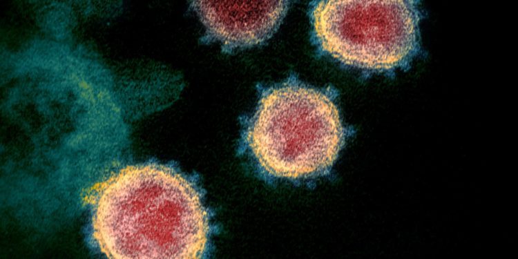 Nisin në SHBA provat përfundimtare për vaksinën kundër COVID-19