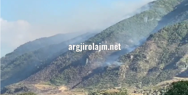 Zjarr masiv pranë Ujit të Ftohtë në Tepelenë, flakët përparojnë drejt fshatit Shtëpëz (VIDEO)