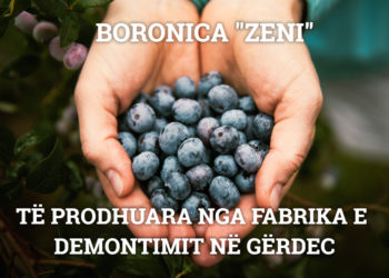 MEMET: “Boronica Zeni për imotencën”, humor i zi me skandalin financiar të Shkëlzen Berishës në Gërdec