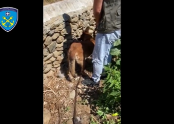 Qeni ‘fundos’ shqiptarët në Mykonos, ja çfarë zbulon të fshehur poshtë murit (VIDEO)