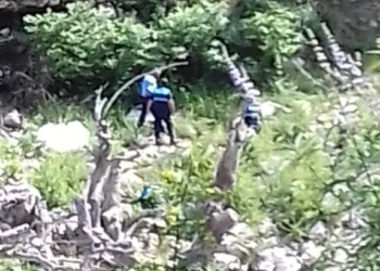 Rrëzohet nga pema, ndërron jetë kasapi në Këlcyrë (Emri)