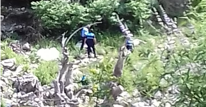 Rrëzohet nga pema, ndërron jetë kasapi në Këlcyrë (Emri)