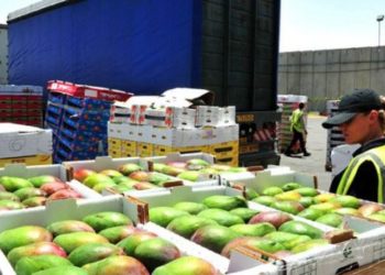 Eksporti i fruta-perimeve u rrit me 16.4% në qershor, Çuçi: Shifra impresionuese, rezultat i politikave mbështetëse në bujqësi (VIDEO)