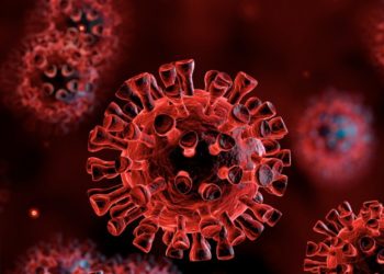 Studimi amerikan, Covid mund të ketë bashkëjetuar me lakuriqët prej viteve ‘40