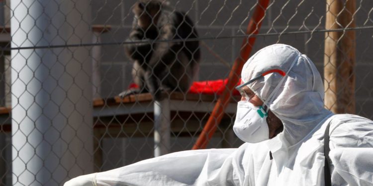 Covid në Itali, 170 raste të reja, 5 jetë të humbura