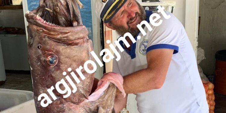 E pazakontë në Vlorë, Baçi kap peshkun e rrallë 50 kg (FOTO)