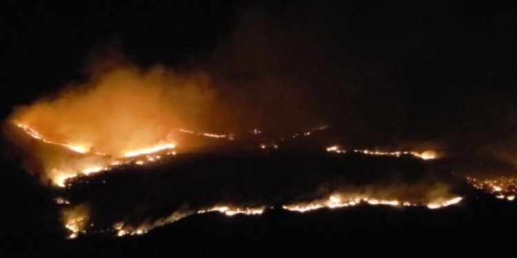Gjirokastër, zjarr masiv në Hormovë, priten ndalime nga policia