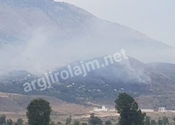 Zjarr i madh në Dropull, rrezikohen banesat e fshatit Glinë (VIDEO)