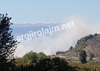 Libohovë, zjarr i madh në fshatin Bulo