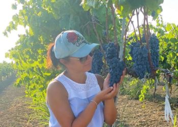 Kthehu në shtëpinë tënde, kthehu në fshat