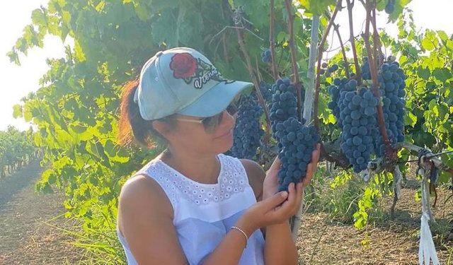 Kthehu në shtëpinë tënde, kthehu në fshat