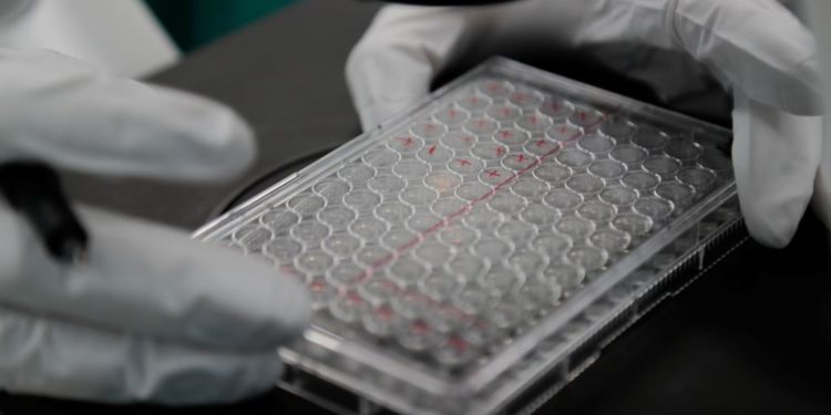 Vaksina ruse për COVID-19 në muajin nëntor?