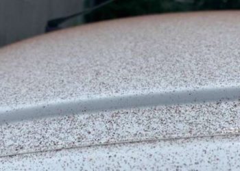 Dukuria e pazakontë, të lagesh nga një shi çokollate