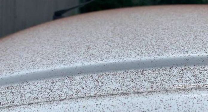 Dukuria e pazakontë, të lagesh nga një shi çokollate