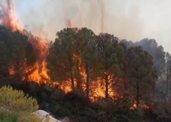 Për të tretën ditë radhazi, vijon të jetë aktive vatra e madhe e zjarrit në Patos