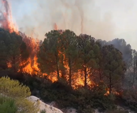 Për të tretën ditë radhazi, vijon të jetë aktive vatra e madhe e zjarrit në Patos