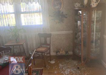 Tërmet i fuqishëm në SHBA