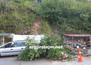 E frikshme/ Rrëzohet pema tek Uji i Ftohtë në Tepelenë, zë poshtë disa automjete (VIDEO)