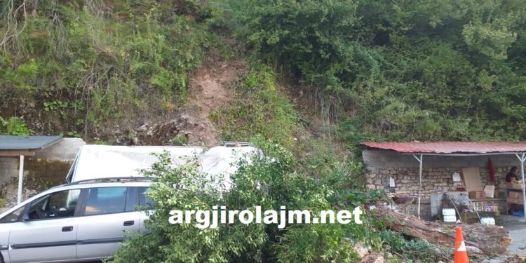 E frikshme/ Rrëzohet pema tek Uji i Ftohtë në Tepelenë, zë poshtë disa automjete (VIDEO)