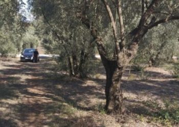 Ngjarje e rëndë/ Shqiptari në Greqi humb jetën në vendin e punës