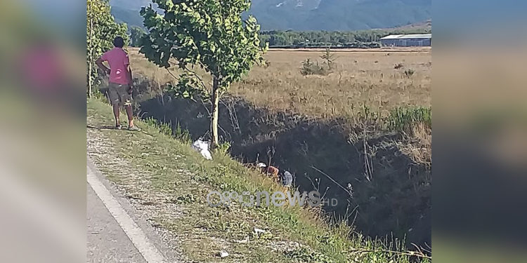 Emigrantët e bllokuar në Kakavijë, gratë mbledhin rigon nëpër fusha