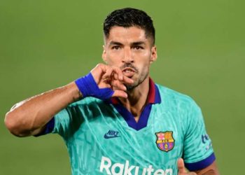 Juvja shumë pranë Suarezit (detajet)