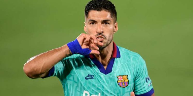 Juvja shumë pranë Suarezit (detajet)