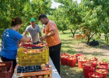 Lajm i mirë nga Greqia, zgjatet me 90 ditë leja e qëndrimit për punëtorët sezonalë