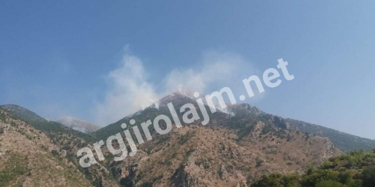 Gjirokastër, 4 vatra aktive zjarri në Zhulat (VIDEO)
