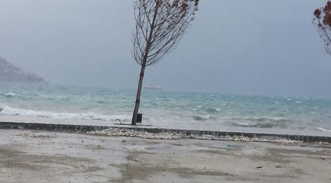 Shmanget tragjedia në Vlorë, 3 të rinjtë me gomone i zë stuhia në det