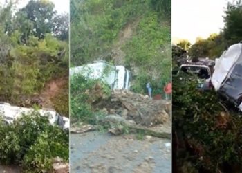 E frikshme/ Rrëzohet pema tek Uji i Ftohtë në Tepelenë, zë poshtë disa automjete (VIDEO)
