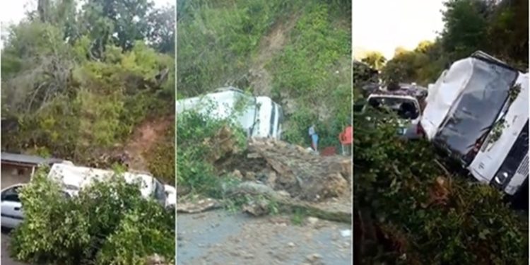E frikshme/ Rrëzohet pema tek Uji i Ftohtë në Tepelenë, zë poshtë disa automjete (VIDEO)