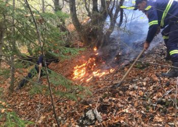 Zjarri në Mashkullorë, policia e Gjirokastrës identifikon autorin