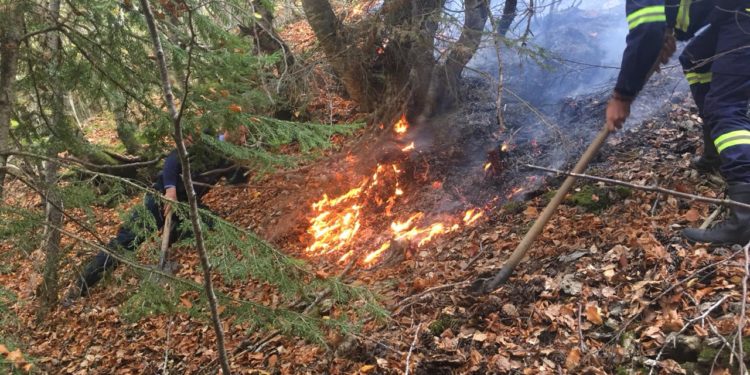 Zjarri në Mashkullorë, policia e Gjirokastrës identifikon autorin