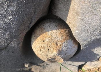 Misteri i sferave të gurta në Lekdush të Tepelenës. Askush nuk di t’i shpjegojë (FOTO)