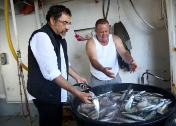 1.5 milion euro grant për rinovimin e anijeve të peshkimit, ministri Çuçi një natë në det me peshkatarë (FOTO)