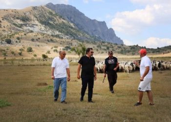 Çuçi i përgjigjet Metës: Presidenti në “rënie të lirë”, blegtoria në 4 vitet e fundit është mbështetur si kurrë më parë. Kur LSI drejtonte Ministrinë e Bujqësisë përfituan subvencionet më pak fermerë se çdo vit tjetër