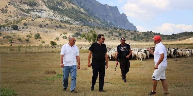 Çuçi i përgjigjet Metës: Presidenti në “rënie të lirë”, blegtoria në 4 vitet e fundit është mbështetur si kurrë më parë. Kur LSI drejtonte Ministrinë e Bujqësisë përfituan subvencionet më pak fermerë se çdo vit tjetër