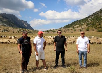 Subvencionet për blegtorinë, Çuçi në Çajup: Përfituan rreth 5 mijë fermerë. Skema mbështetëse për tufën bazë do të shtrihet në 3 vite (FOTO)