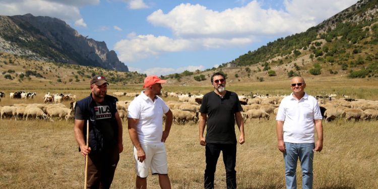 Subvencionet për blegtorinë, Çuçi në Çajup: Përfituan rreth 5 mijë fermerë. Skema mbështetëse për tufën bazë do të shtrihet në 3 vite (FOTO)